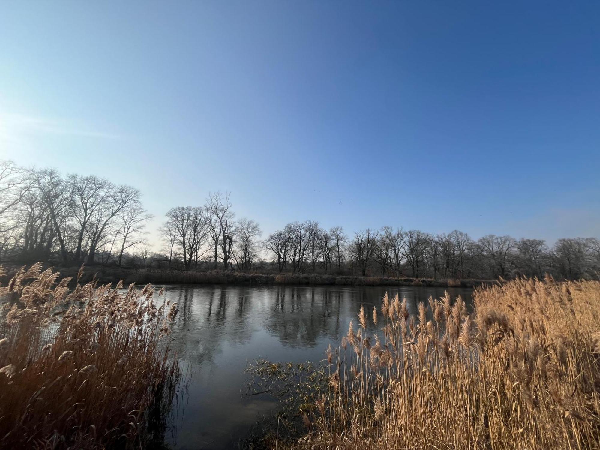 Dworek Biesiadny Radzewice エクステリア 写真